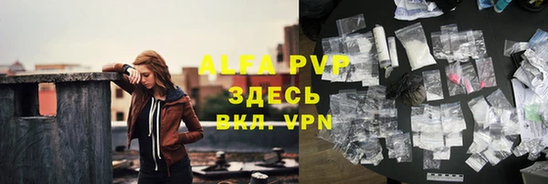 сатива Абинск