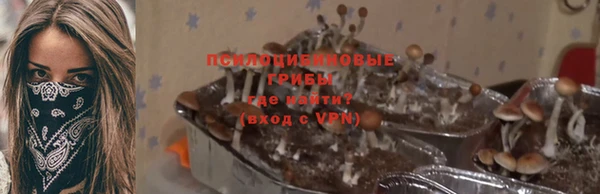 амф Абдулино