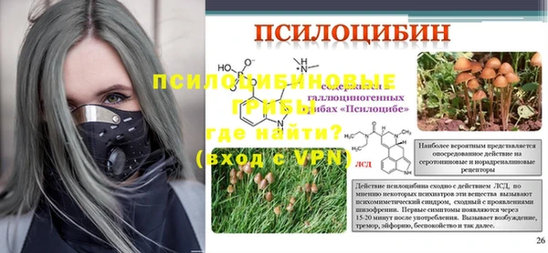 сатива Абинск