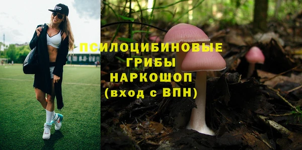 сатива Абинск