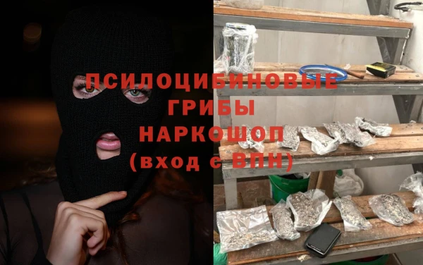 гидропоника Абаза