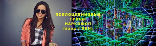 сатива Абинск