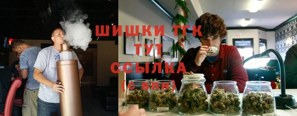 гидропоника Абаза