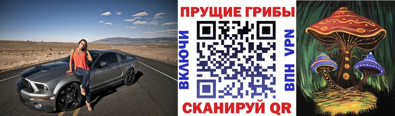 купить   Электросталь  МЕГА онион  Псилоцибиновые грибы Psilocybine cubensis 